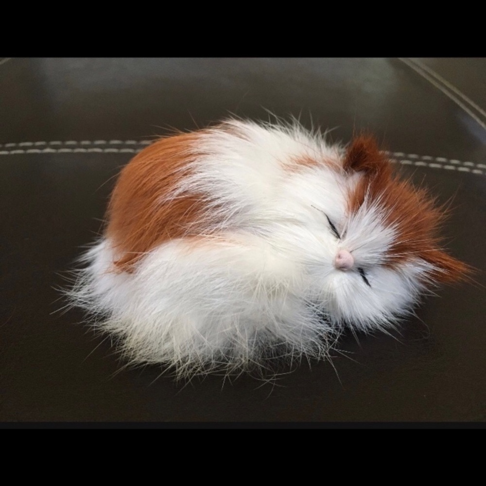 Cat collection - Picture 5 of 7